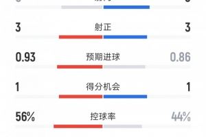 切尔西1-0本菲卡全场数据：射正8-9，射正3-3，黄牌4-5，红牌1-0